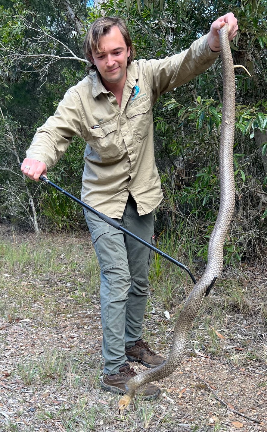 Snake Catcher's Harrowing Story Of Surviving A Brown Snake Bite